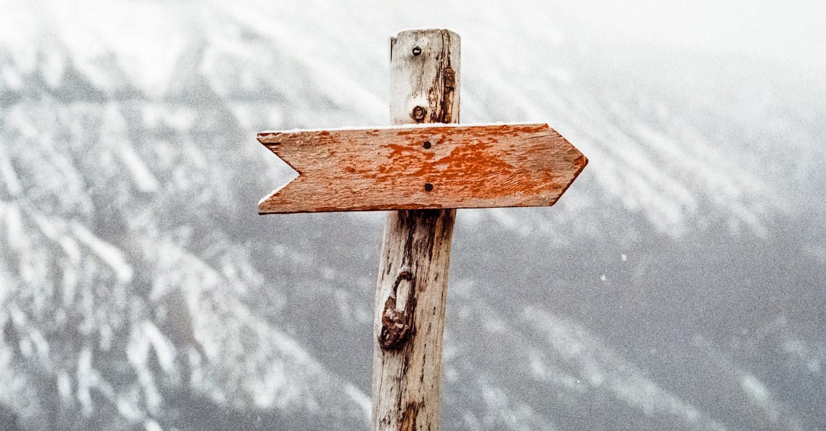 découvrez des stratégies efficaces de lead acquisition pour maximiser votre croissance. apprenez à attirer et convertir des prospects qualifiés grâce à des techniques ciblées et des outils innovants.