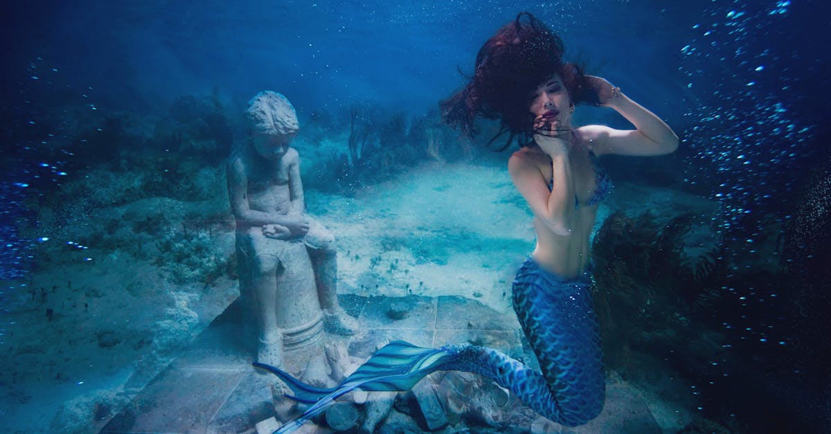 découvrez l'univers fascinant des sirènes avec notre guide complet sur les mermaids. explorez leur mythologie, leur représentation dans la culture populaire et les contes enchanteurs qui les entourent. plongez dans un monde magique où la réalité rencontre le fantastique !