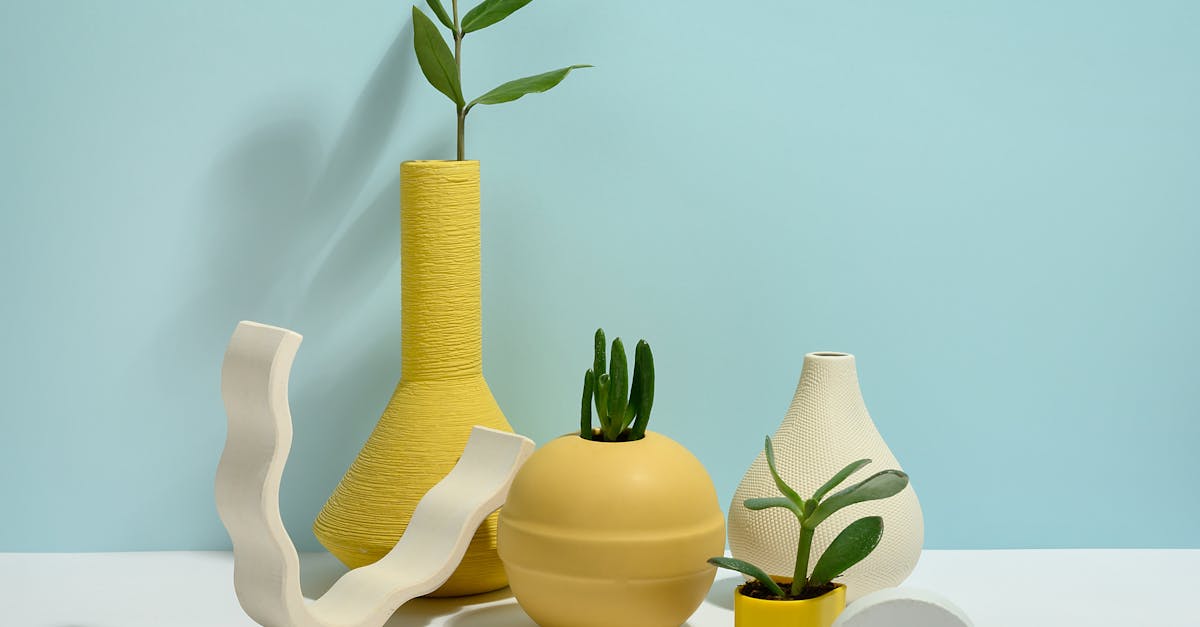 découvrez notre collection de vases décoratifs qui ajoutent une touche d'élégance à votre intérieur. parfait pour sublimer vos plantes ou comme pièces maîtresses, ces vases variés s'adaptent à tous les styles de décoration.