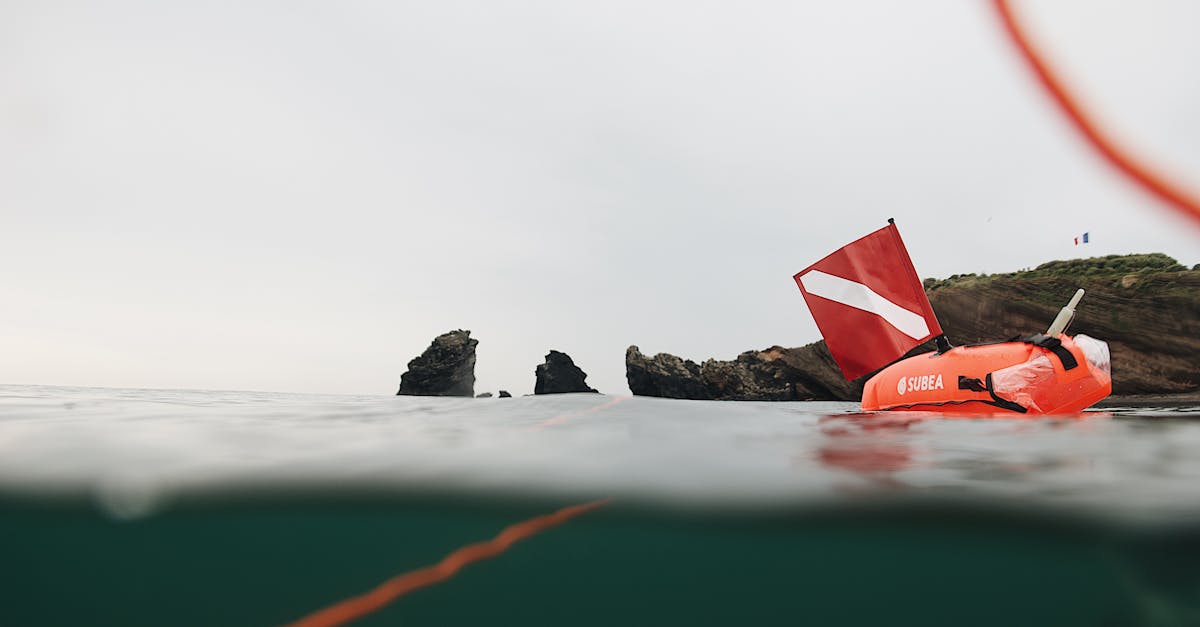 découvrez notre sélection de bouées gonflables, parfaites pour profiter de vos journées à la plage ou à la piscine. confort, sécurité et amusement garantis grâce à des modèles variés adaptés à tous les âges.