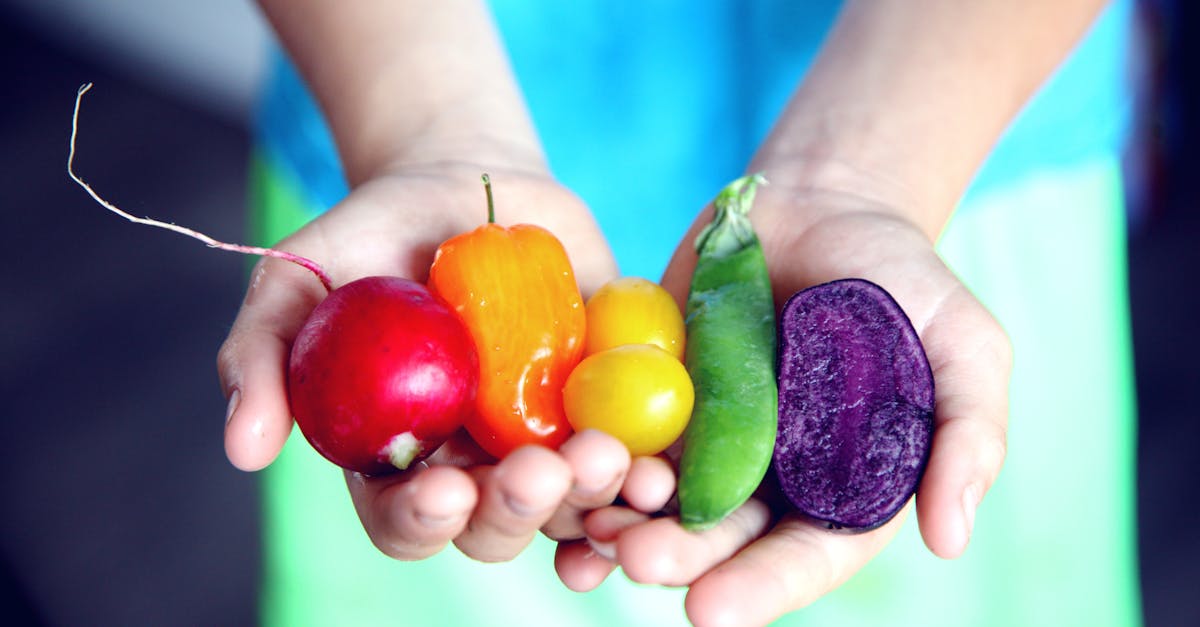 découvrez l'importance d'une alimentation équilibrée pour votre santé. conseils, exemples de repas et bienfaits d'un régime alimentaire sain au quotidien.