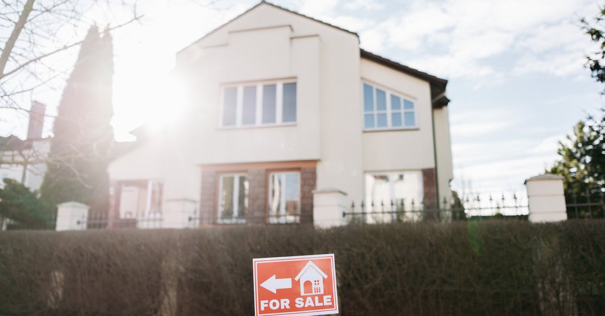 découvrez comment investir dans l'immobilier, optimiser votre rendement et sécuriser votre patrimoine grâce à des conseils, astuces et analyses sur l’investissement immobilier.