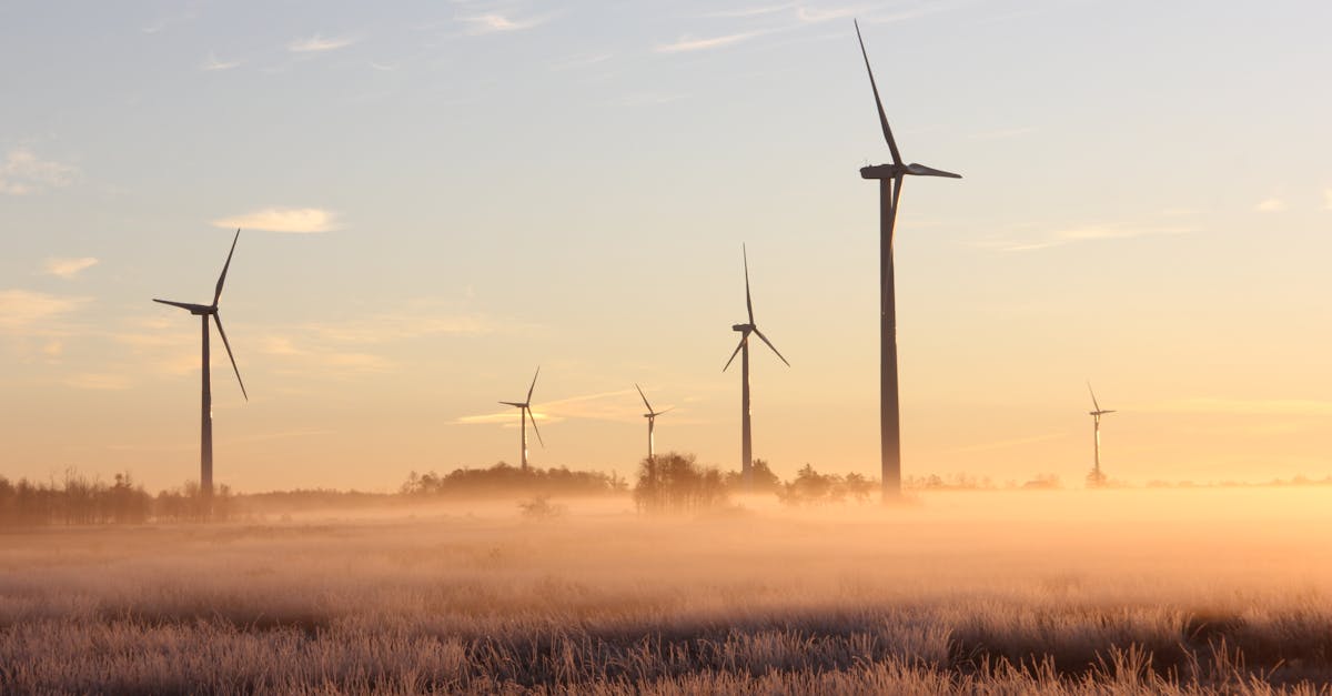 découvrez comment l’écologie durable permet de préserver l’environnement tout en répondant aux besoins des générations actuelles et futures. conseils, tendances et solutions pour adopter des pratiques écoresponsables.