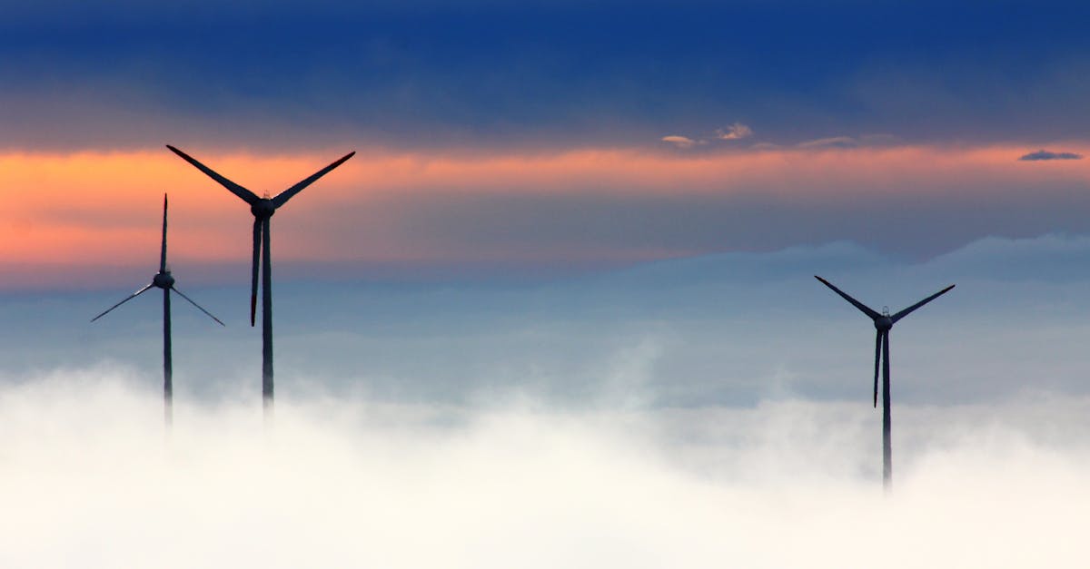 découvrez comment l'écologie durable favorise la préservation de l'environnement, la gestion responsable des ressources naturelles et un mode de vie respectueux de la planète. informez-vous sur les solutions écologiques pour un avenir plus vert.